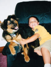 2003 or earlier photos