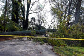 Hurricane Sandy - October, 2012