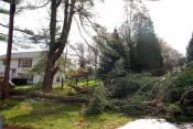 Hurricane Sandy - October, 2012