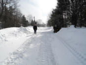 Blizzard of February 2013