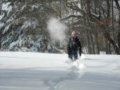 Blizzard of February 2013