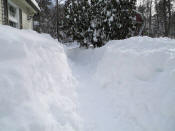 Blizzard of February 2013