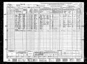1940 Census - Nathan H.Ringer