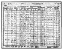 Browns1930Census.jpg