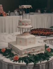 Wedding of Scott and Laura Ringer